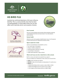 H5 bird flu fact sheet