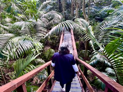 A visitor walking down a boardwalk in the botanic gardens.