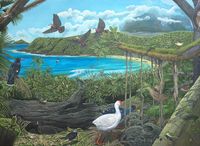 An artwork depicting various birds.