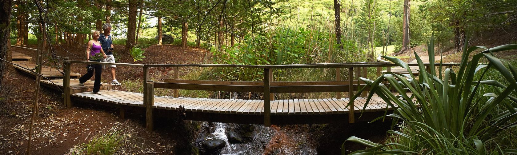 Explore walking trails, Norfolk Island National Park