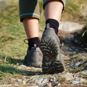 Walks in Norfolk Island National Park