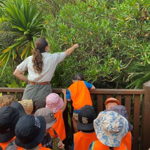 Educational activities Banyan Park