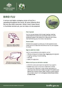 Norfolk Island bird flu factsheet