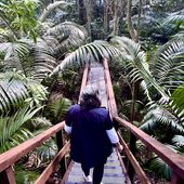 A visitor in the botanic gardens