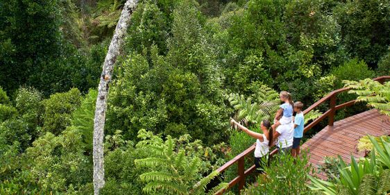 Norfolk Island Botanic Garden. Photo: Norfolk Island Tourism