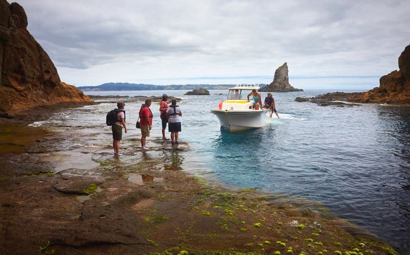 Visitors disembarking onto the rock shore of Phillip Island.