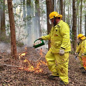 Fuel reduction burning